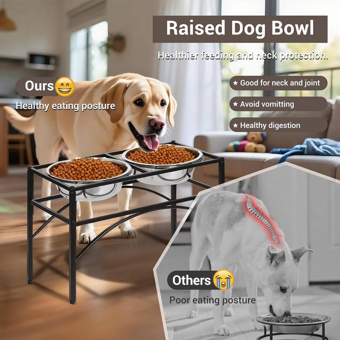 Funkeen Elevated Dog Bowls Raised Pet Feeder Cat Food & Water Diner