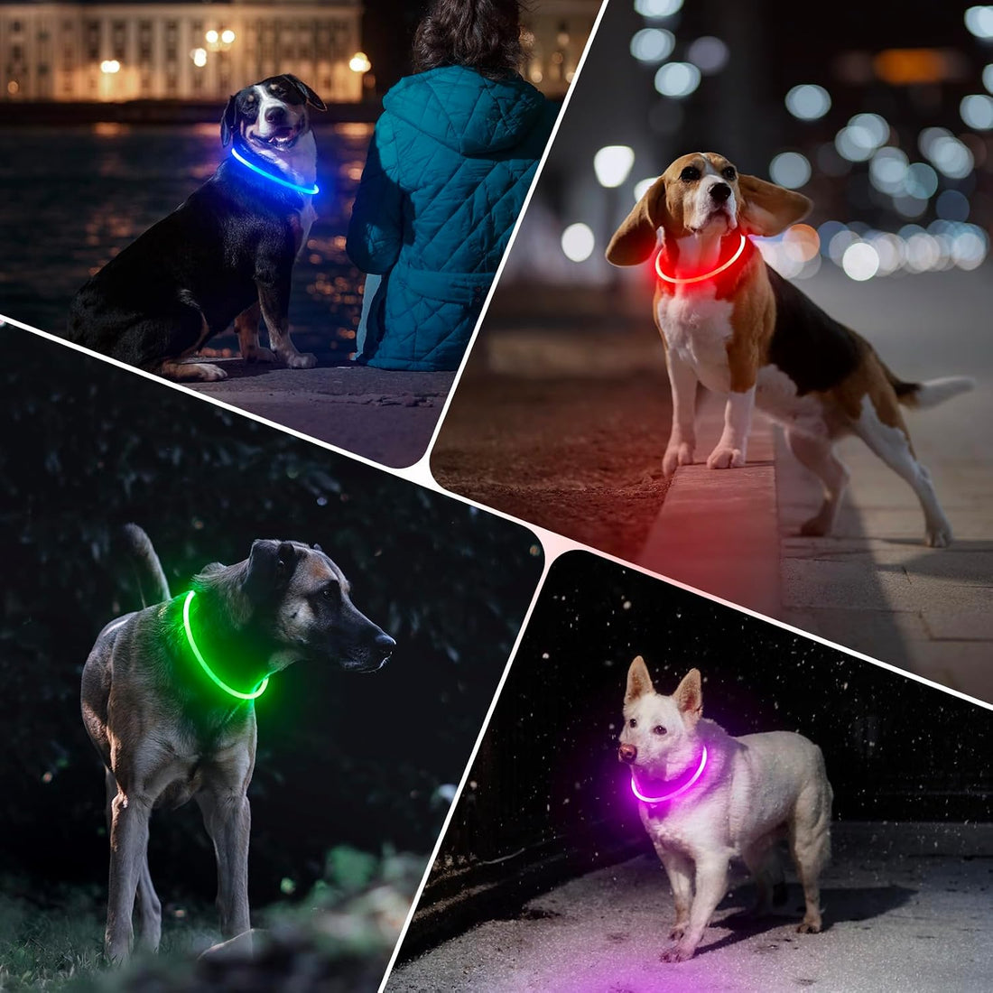 BSEEN Light Up Dog Collar (Green 70cm)