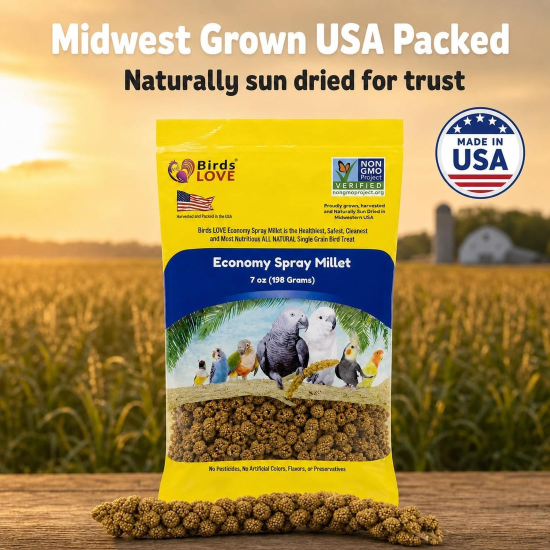 Birds LOVE Economy Spray Millet for Birds, 7 oz