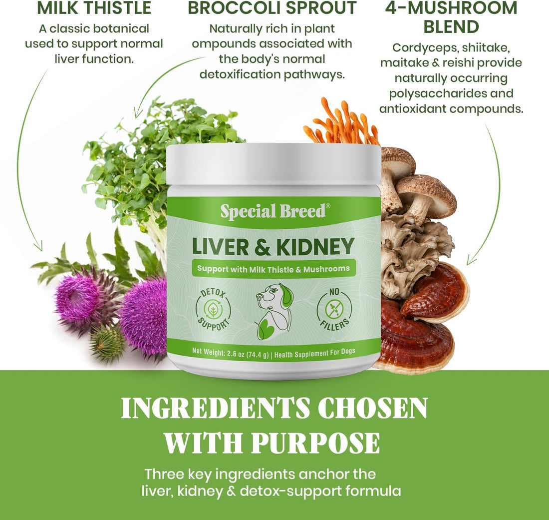 Special Breed Liver & Kidney Support for Dogs - Milk Thistle Support