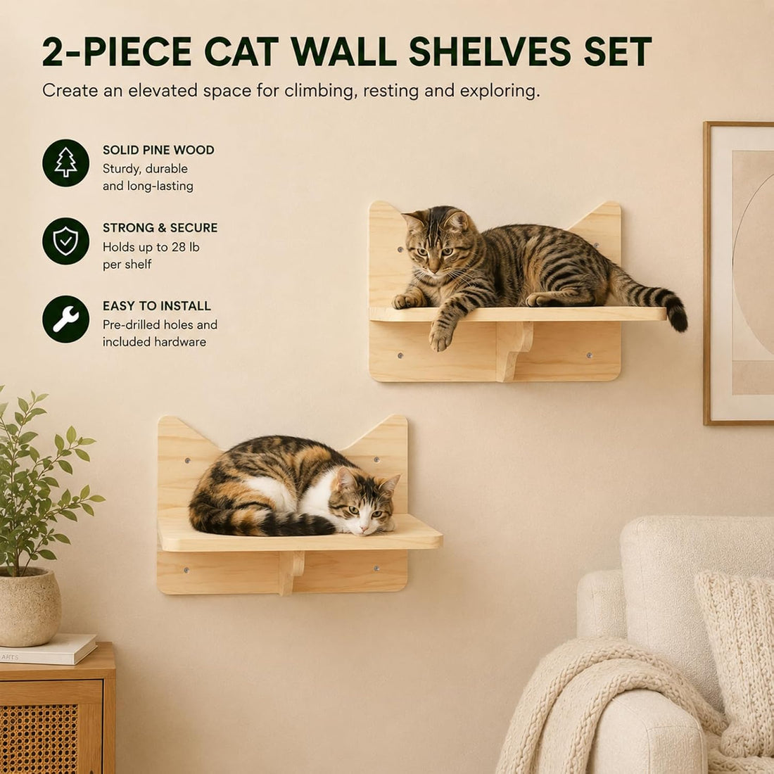 Cat Wall Shelves, 2-Piece Cat Wall Step for Large Cats