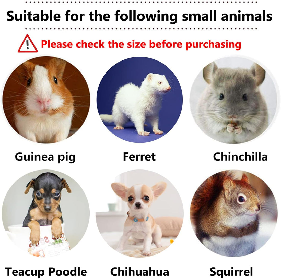 Rypet Guinea Pig Harness and Leash