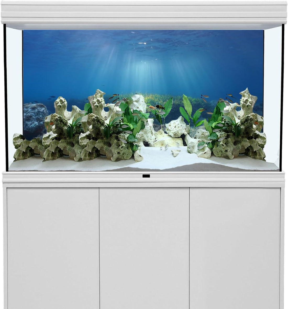 Ocean Floor Fish Tank Backdrop Underwater Stone Aquarium Backdrop