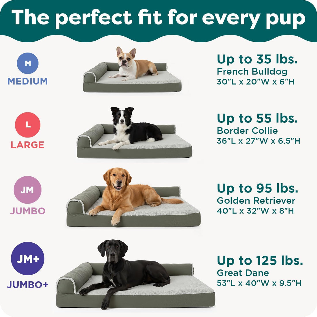Furhaven Orthopedic Dog Bed for Large/Medium Dogs w/ Removable