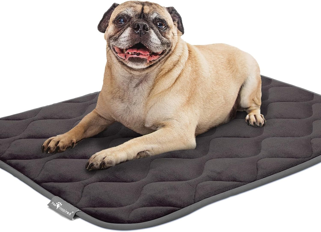 Paw Inspired Washable Padded Crate Mats for Dogs | 29” x 18” Pad