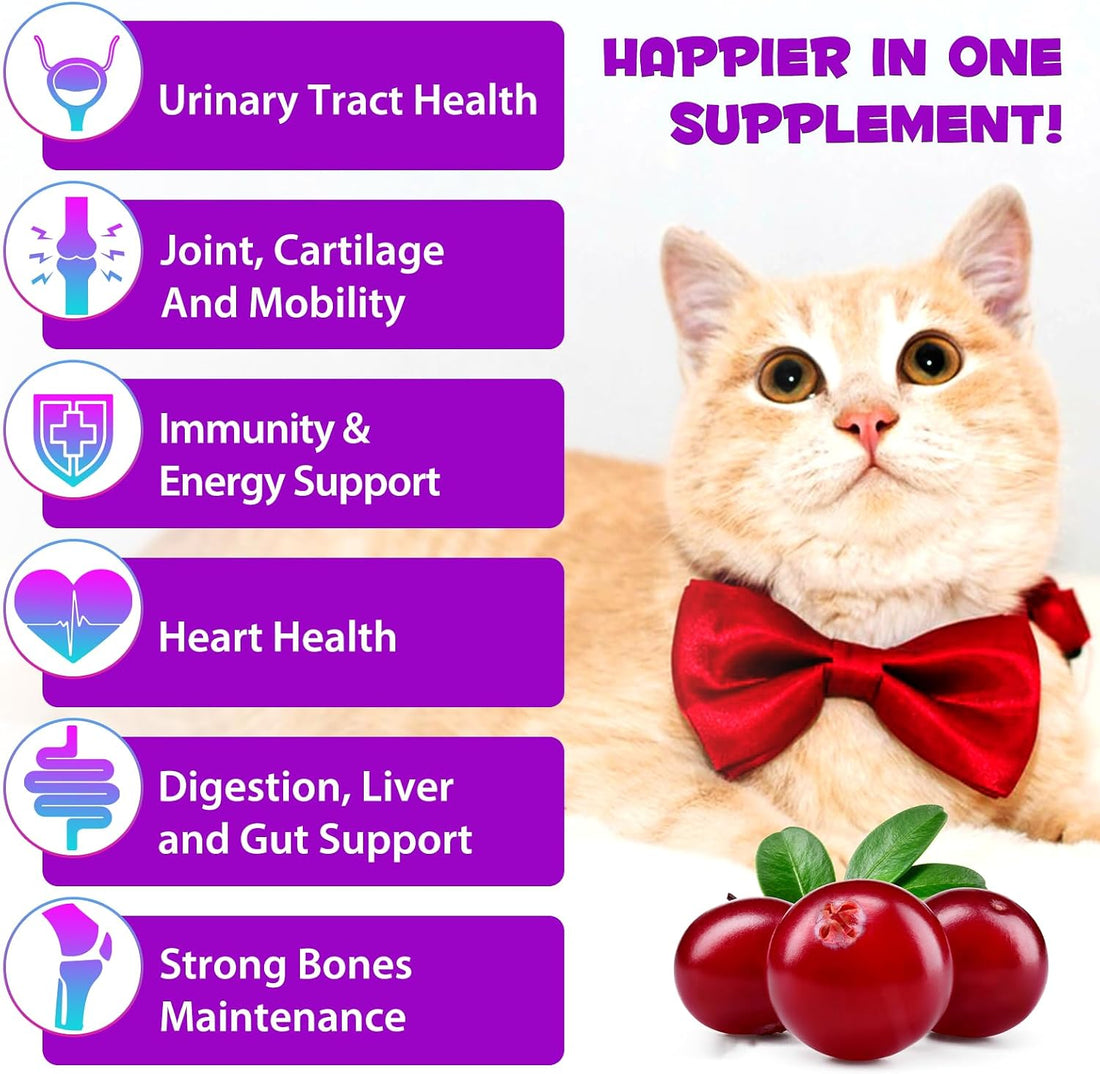Cat Multivitamin,15 in 1 Cat Vitamins Liquid Drops Supplements