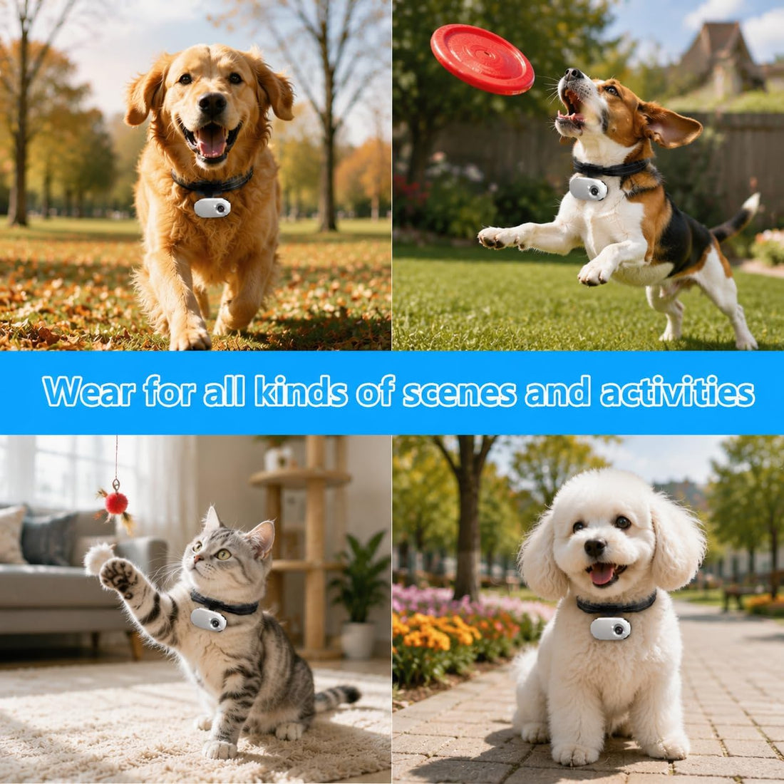 ehomful HD 1080P Cat POV Camera Collar with Video Record