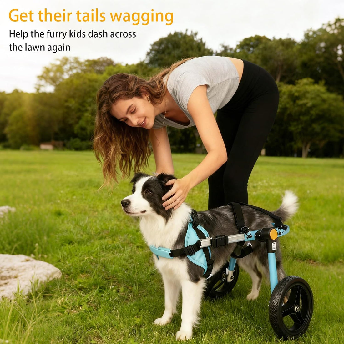 TailWaggers Dog Wheelchair for Back Legs | Adjustable Mobility Aid