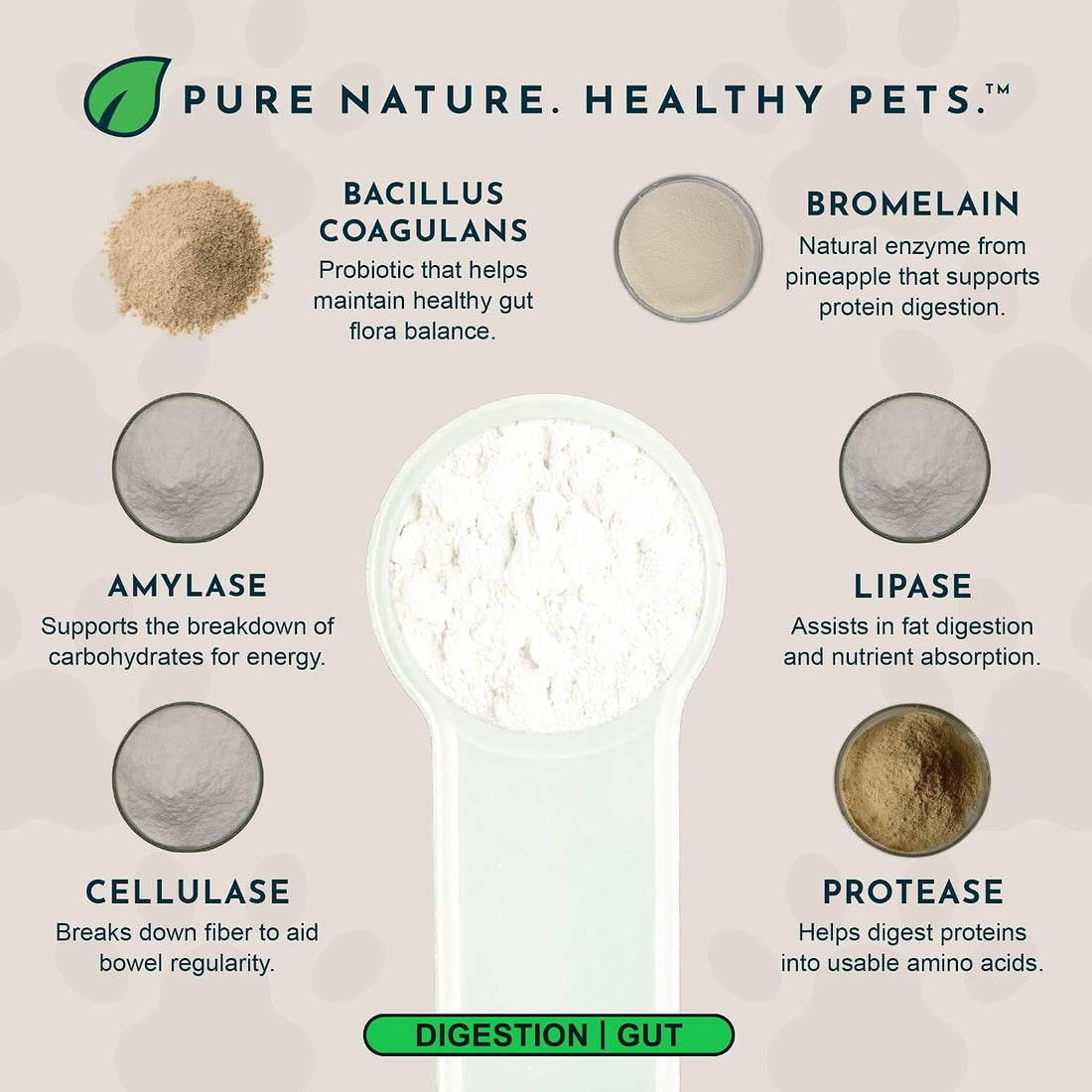 Animal Essentials Plant Enzyme & Probiotics, Plant Based - 10.6 Oz