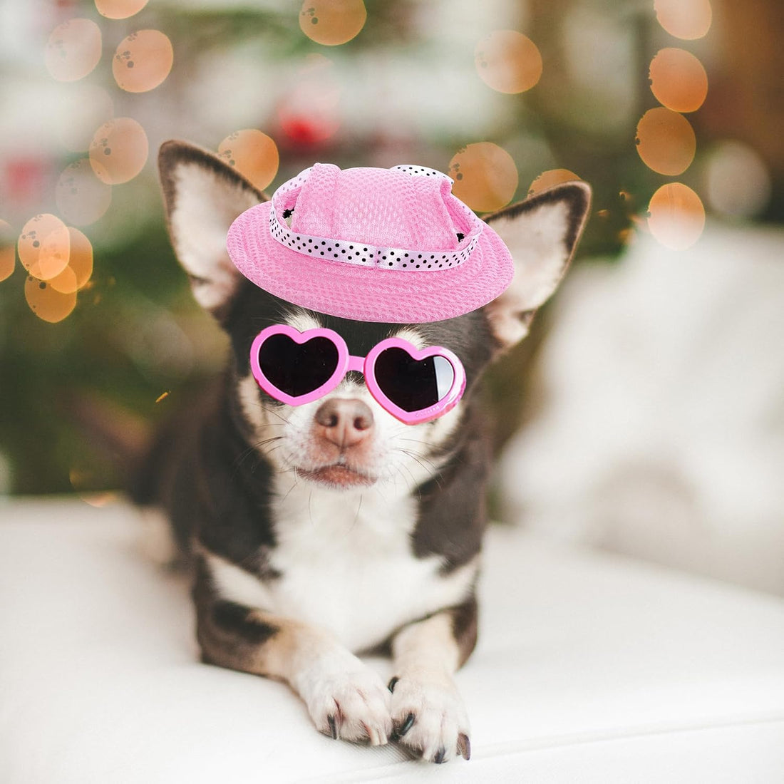 choyaxo Dog Sun Hat Set Including Dog Visor Sunbonnet Outfit with Ear