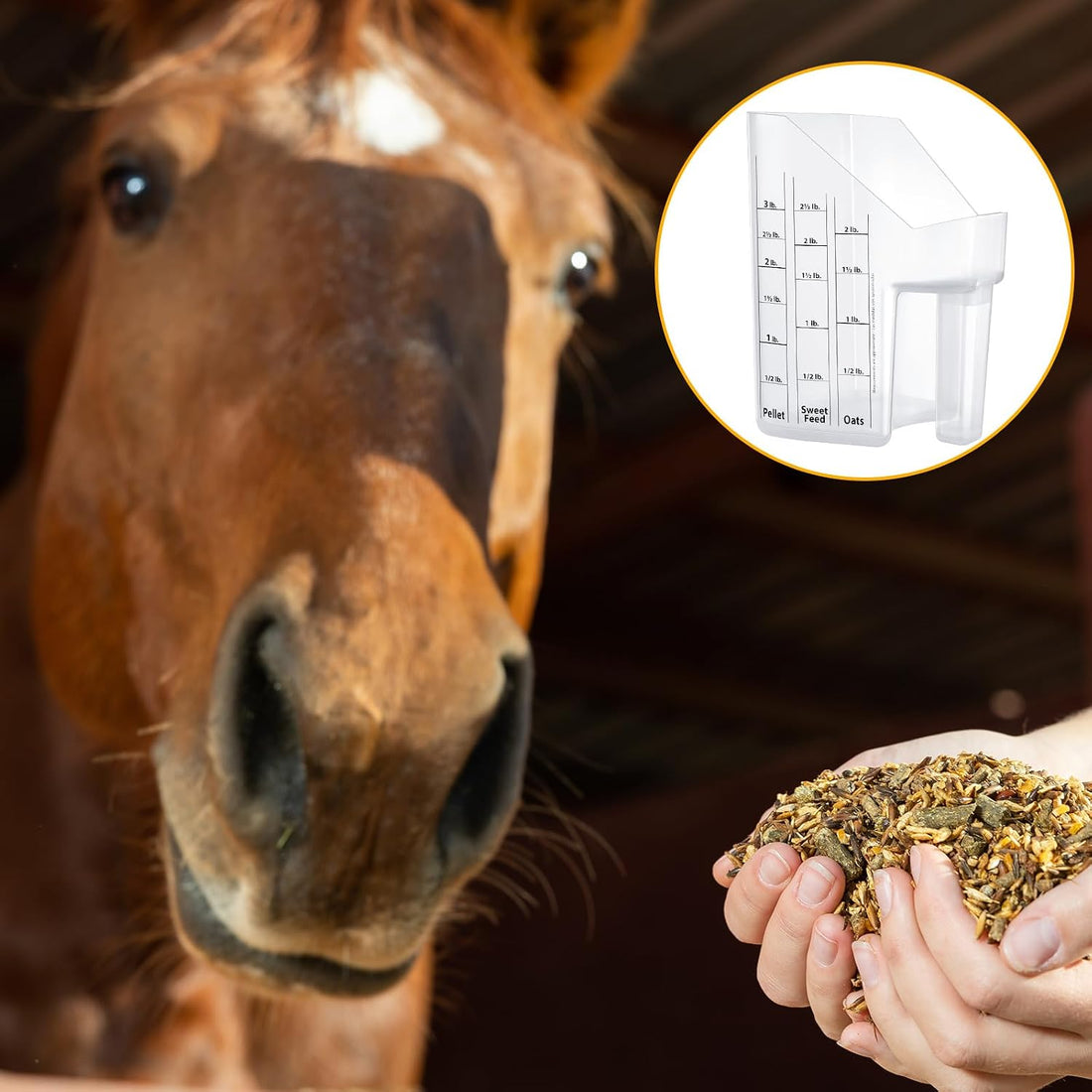Uiifan 2 Pcs 3 Quart Horse Feed Scoop with Measurements for Farm
