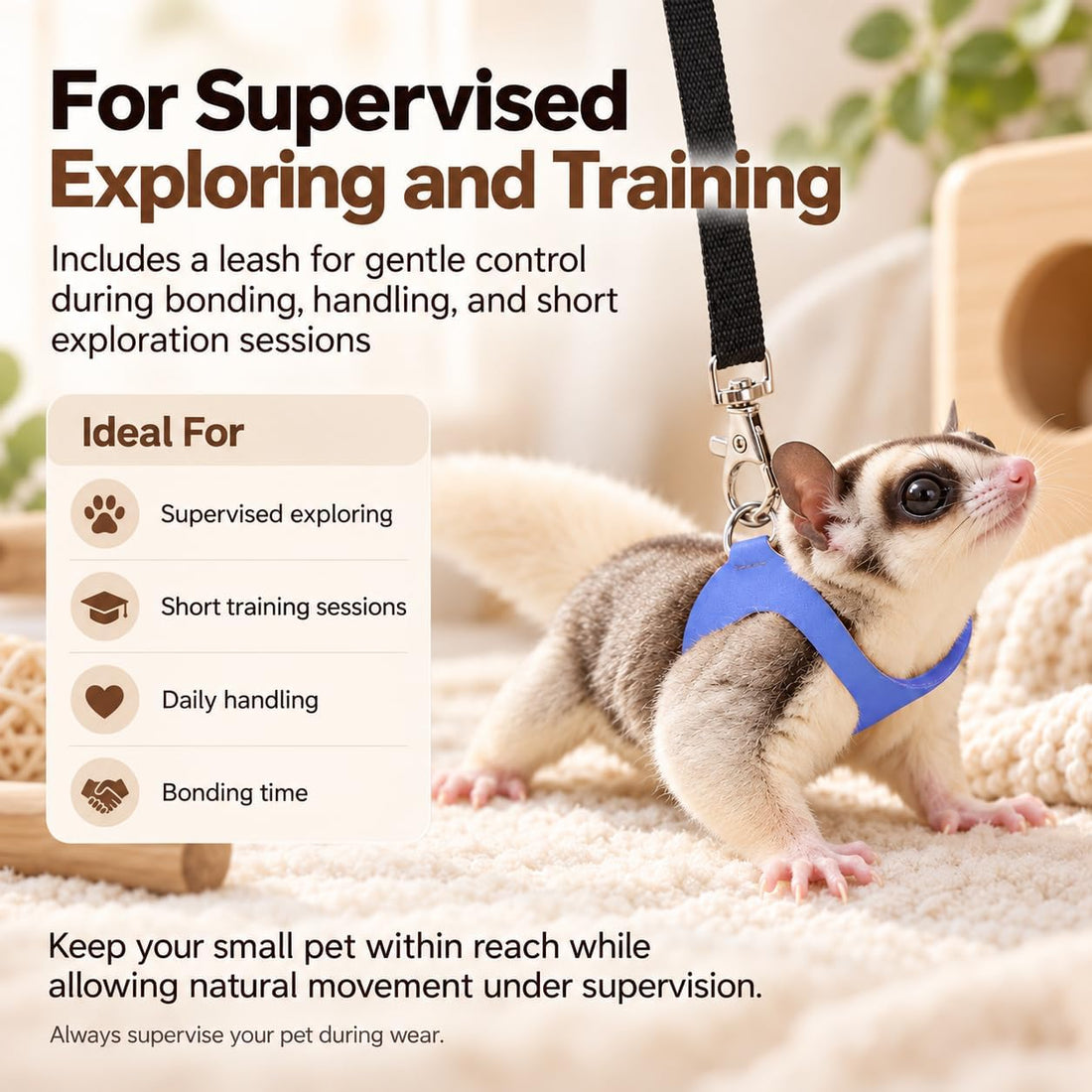 3 Pack Sugar Glider Harness and Leash Set Small Animal Training