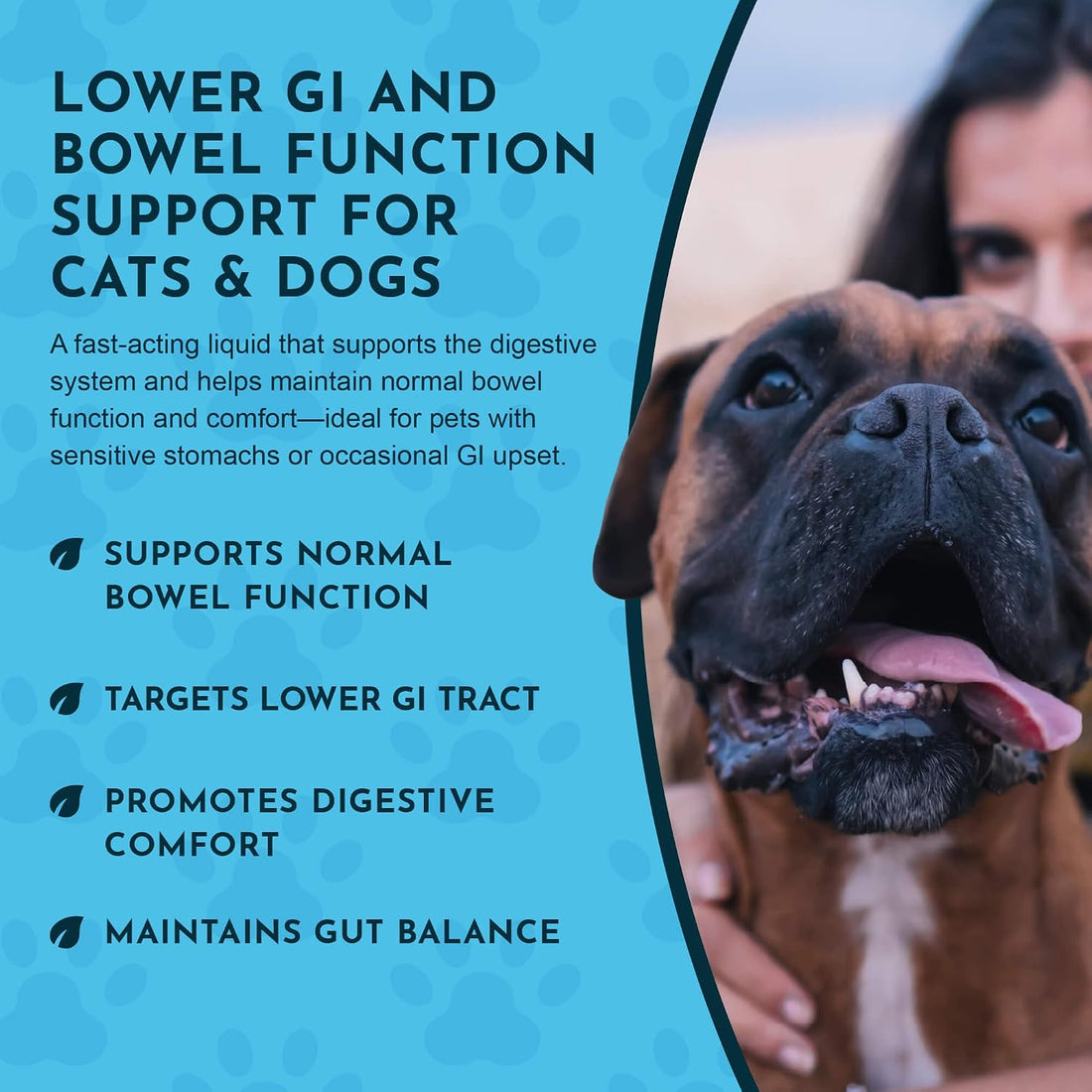 Animal Essentials Colon Rescue Dog Stool Softener - 2 fl Oz