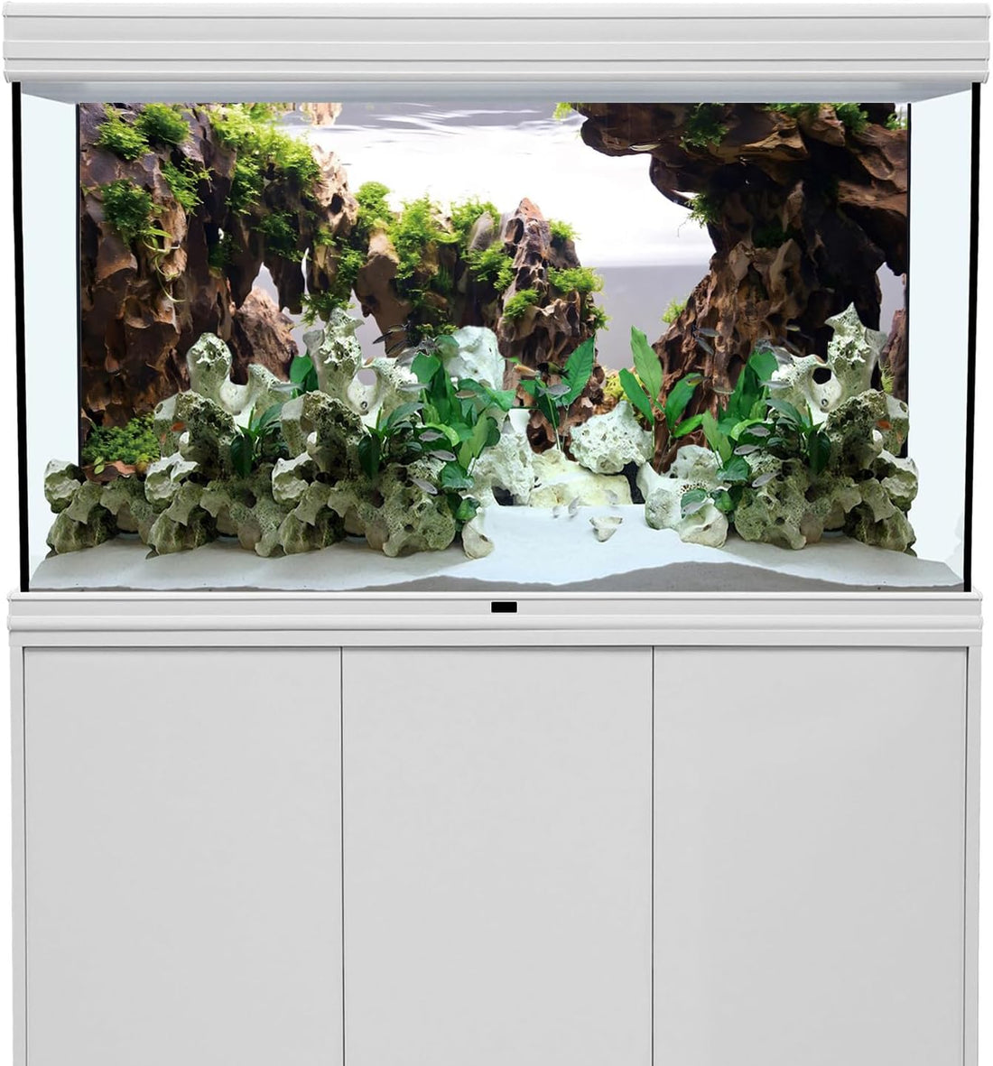 48x24 in Viewing Stone Aquarium Backdrop Riverbed Fish Tank Background