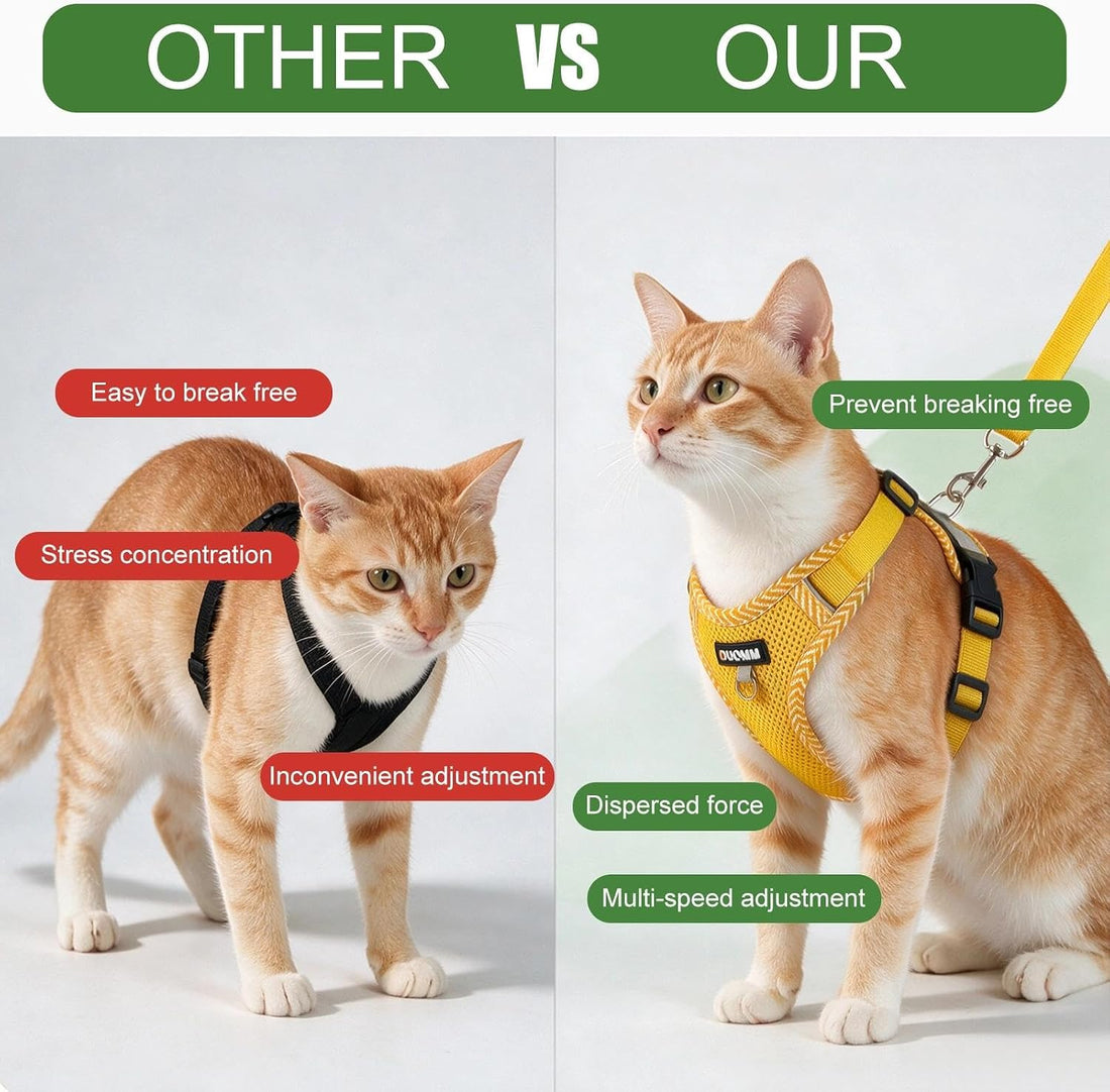 Large Cat Harness and Leash Set