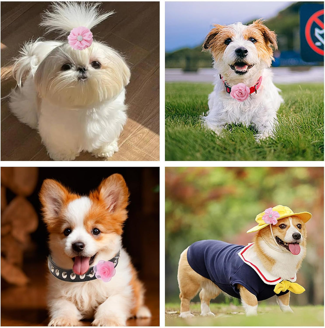 12 Pcs Pink Dog Collar Flowers Cat Collar Flower Attachment