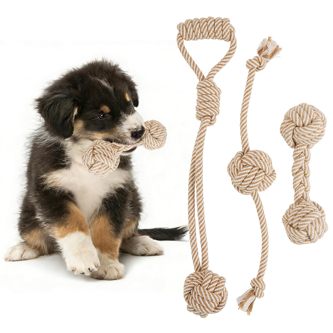 PATTEPOINT Dog Rope Toy for Small Dog 3pcs