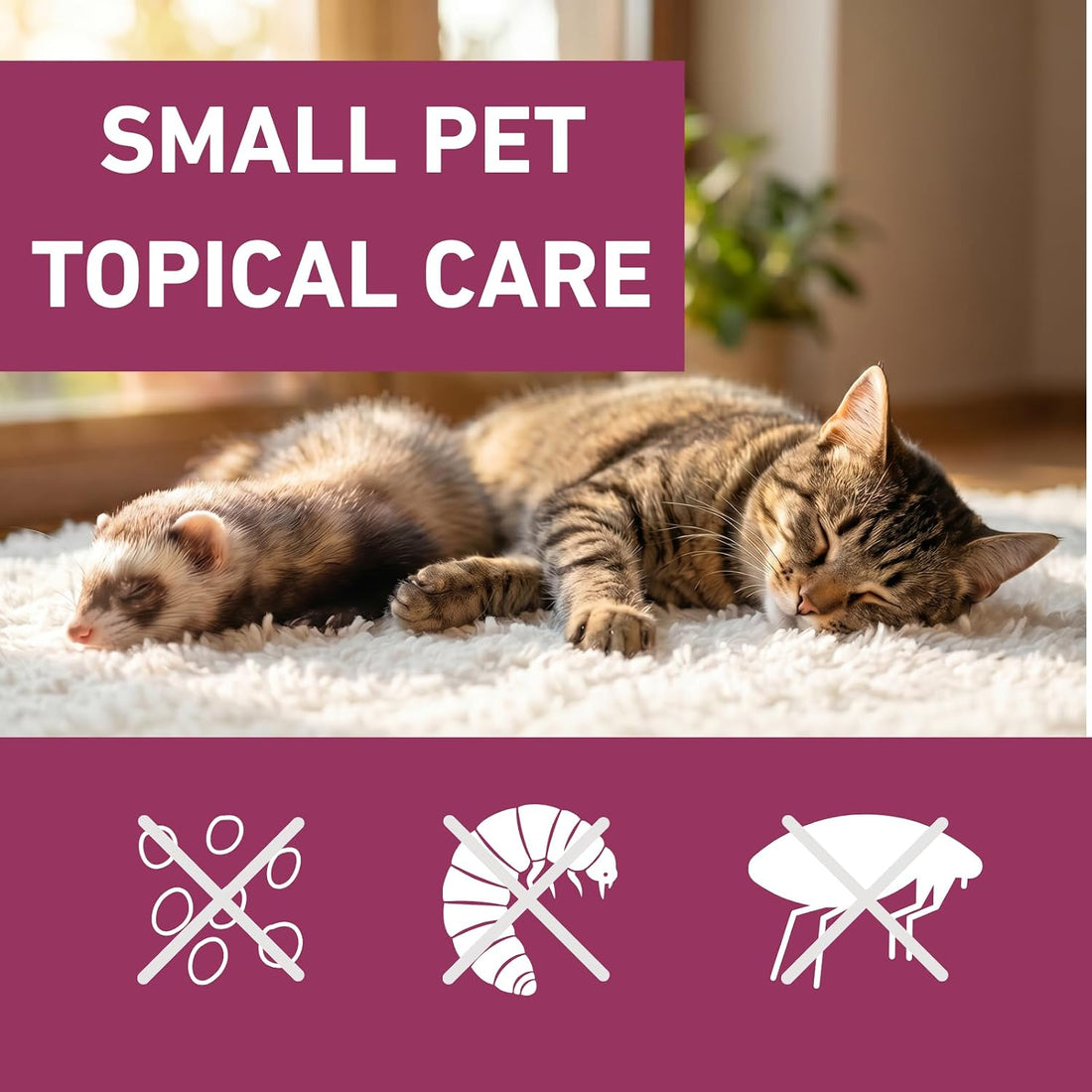Topical Care Drops for Cats Spot-On Drops for Kitten Bunny Ferret