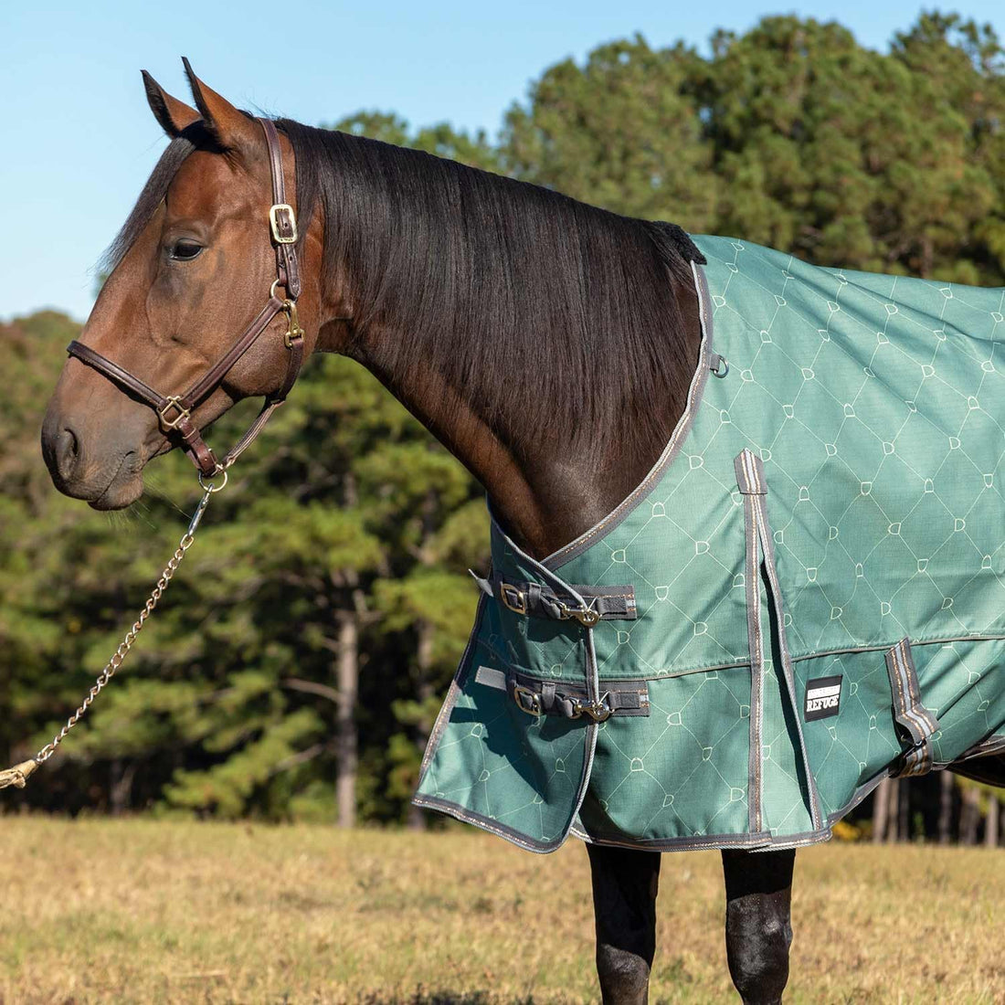 Jeffers 1200D Standard Neck Turnout Blanket, 240G, 78"