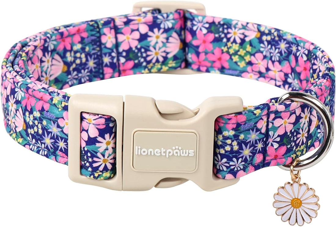 Lionet Paws Floral Dog Collar- Cute Spring Wildflowers Daisy Fleabane