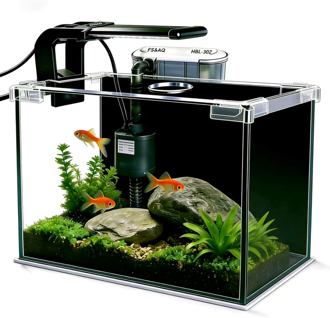 2.5 Gallon Betta Fish Tank with Filter Light and Lid