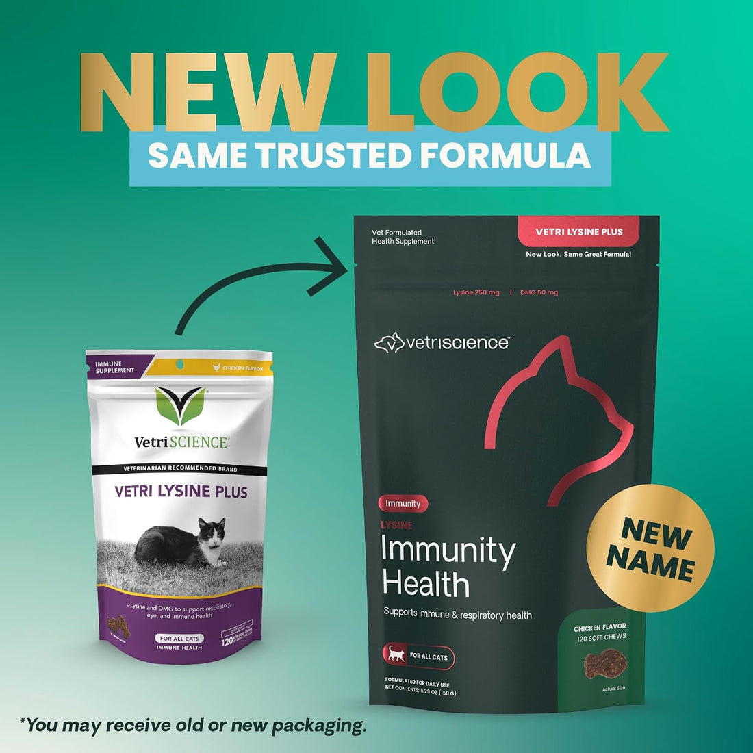 VetriScience Lysine Immunity Health Chews