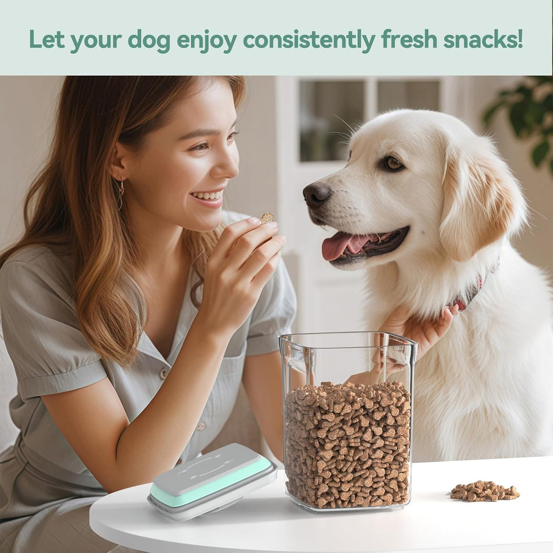 FAFAFLYER Dog-Cat POP Treat-Airtight jar-Container - 1.3 Qt/1.2 L