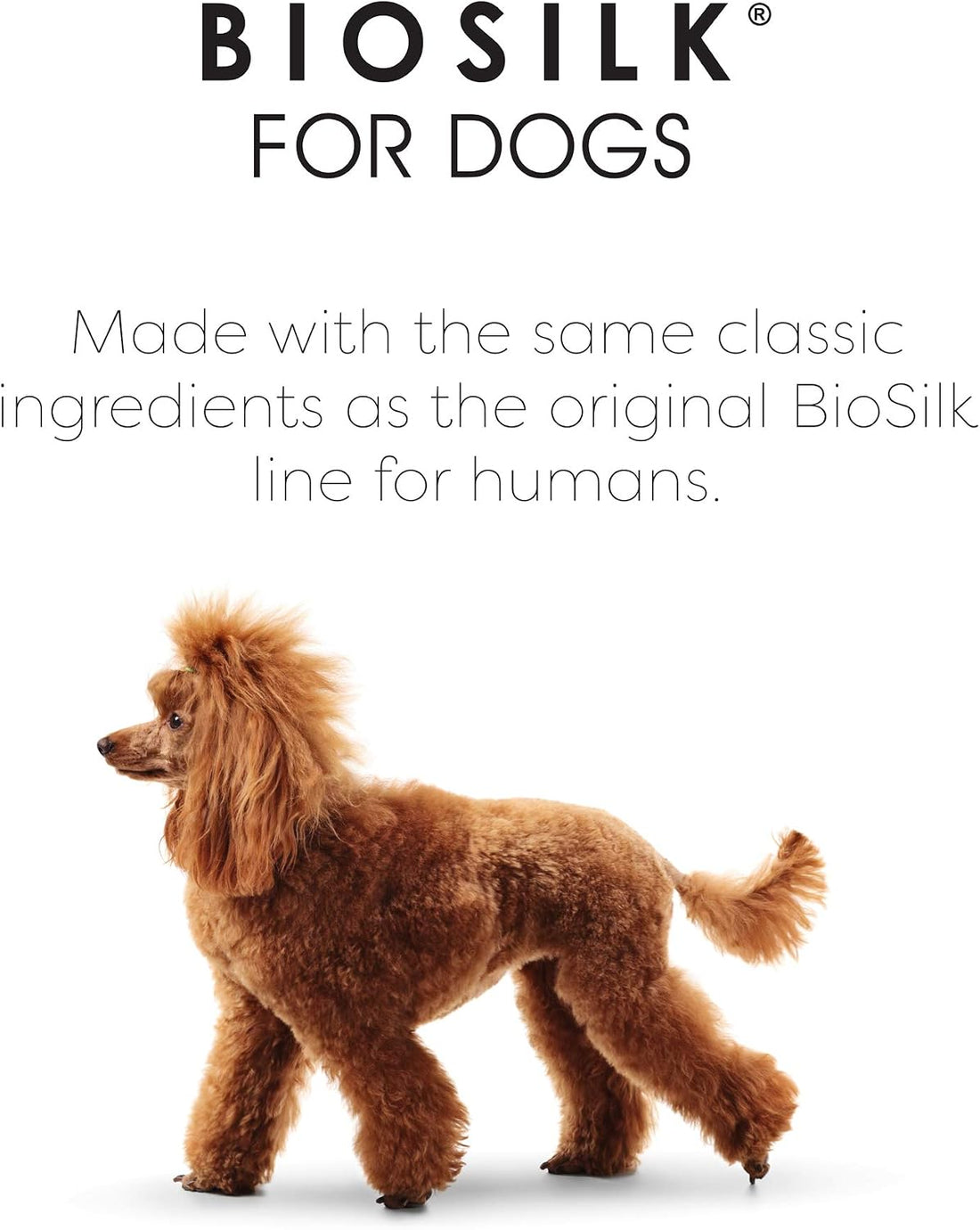 BioSilk Silk Therapy Conditioning Detangling Spray for Dogs