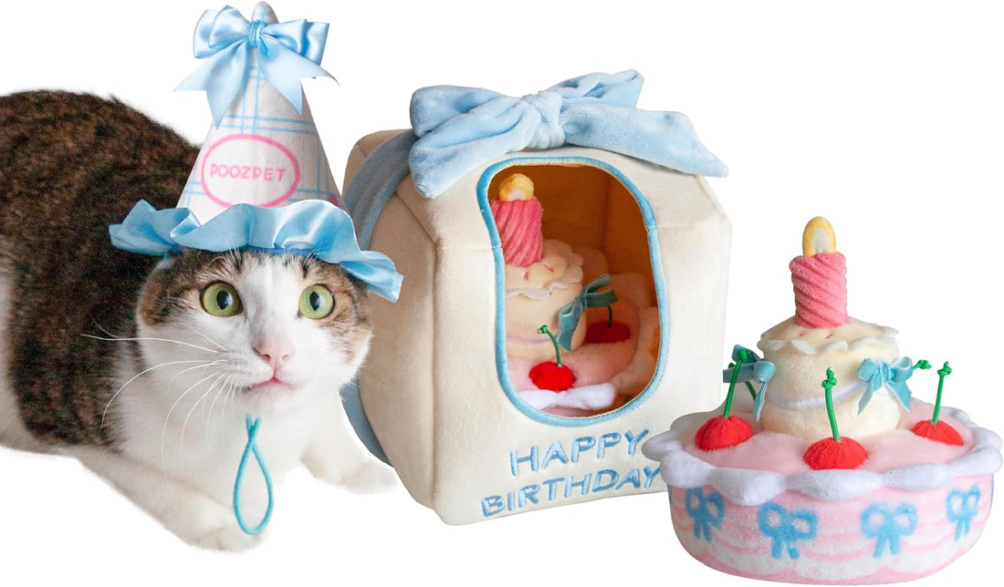 Birthday Cake Snuffle Toy Set