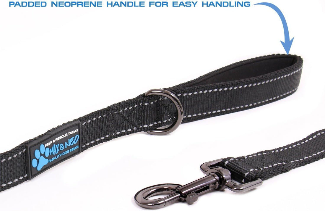 Max and Neo Reflective Nylon Dog Leash - We Donate One for Every Sold