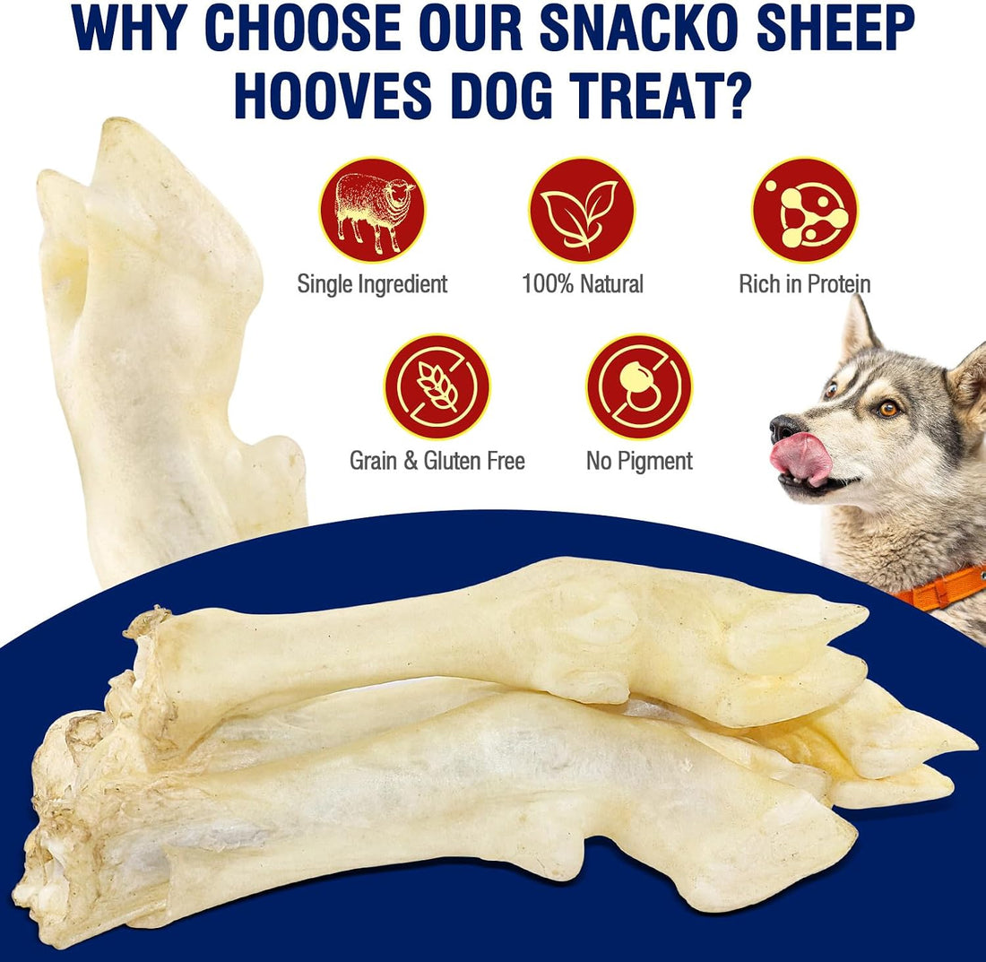 Dehydrated Sheep Hooves Dog Treats 7.4 oz