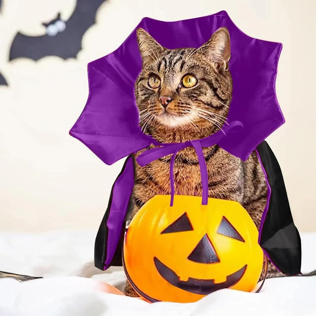 Qiansail Cat Cape Vampire Cloak Halloween Dog Costume Pet Cosplay