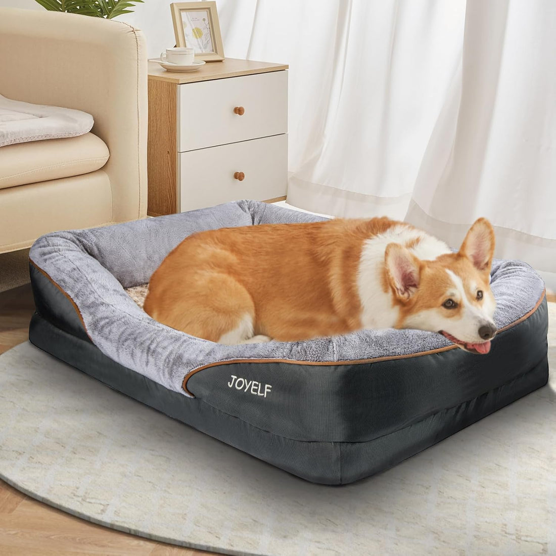 JOYELF Medium Memory Foam Dog Bed Orthopedic Dog Bed & Sofa