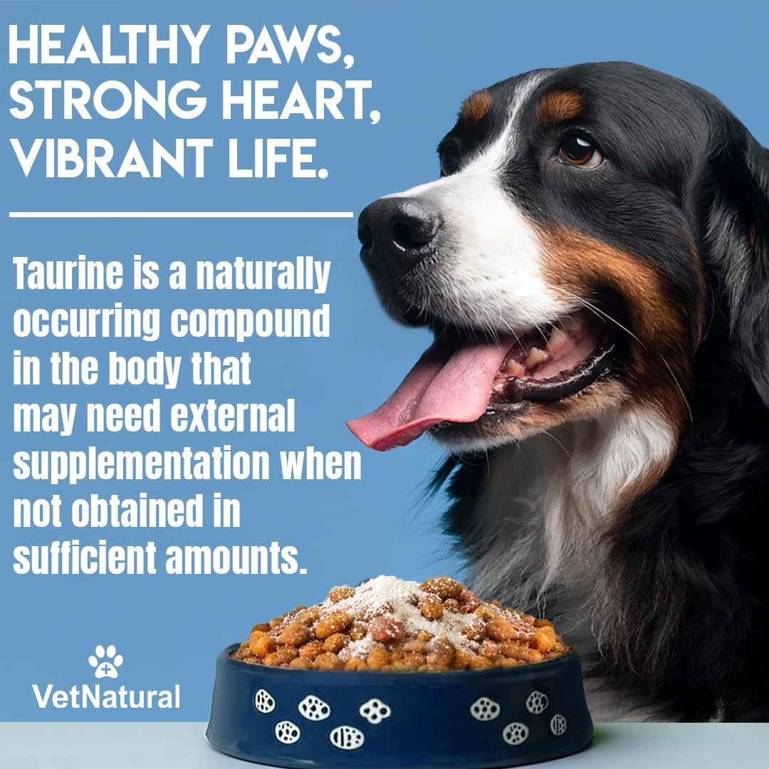 VetNatural Taurine for Dogs, 99.99% Pure Taurine Powder