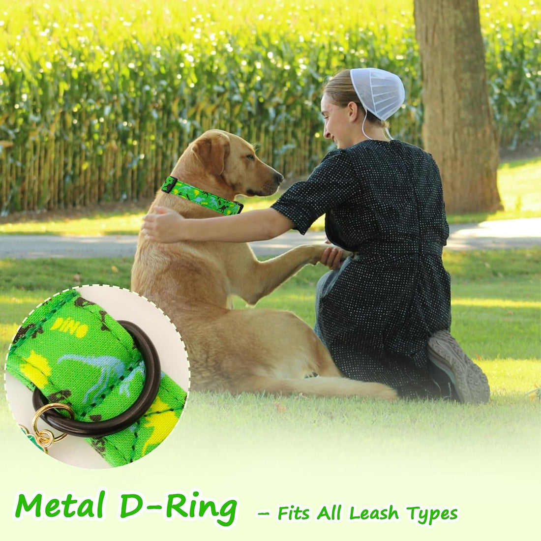 Medium Dog Collars for Male Dogs