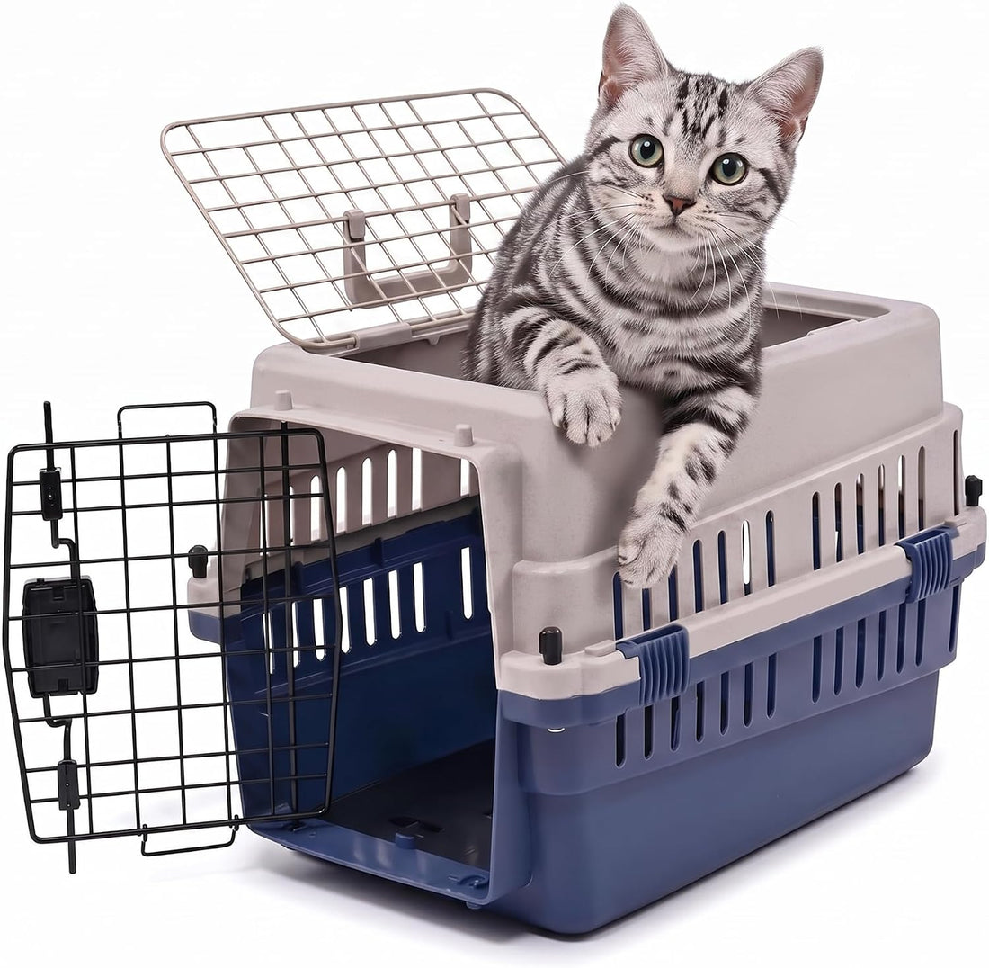 Hard-Sided Pet Carrier for Cats and Small Dogs