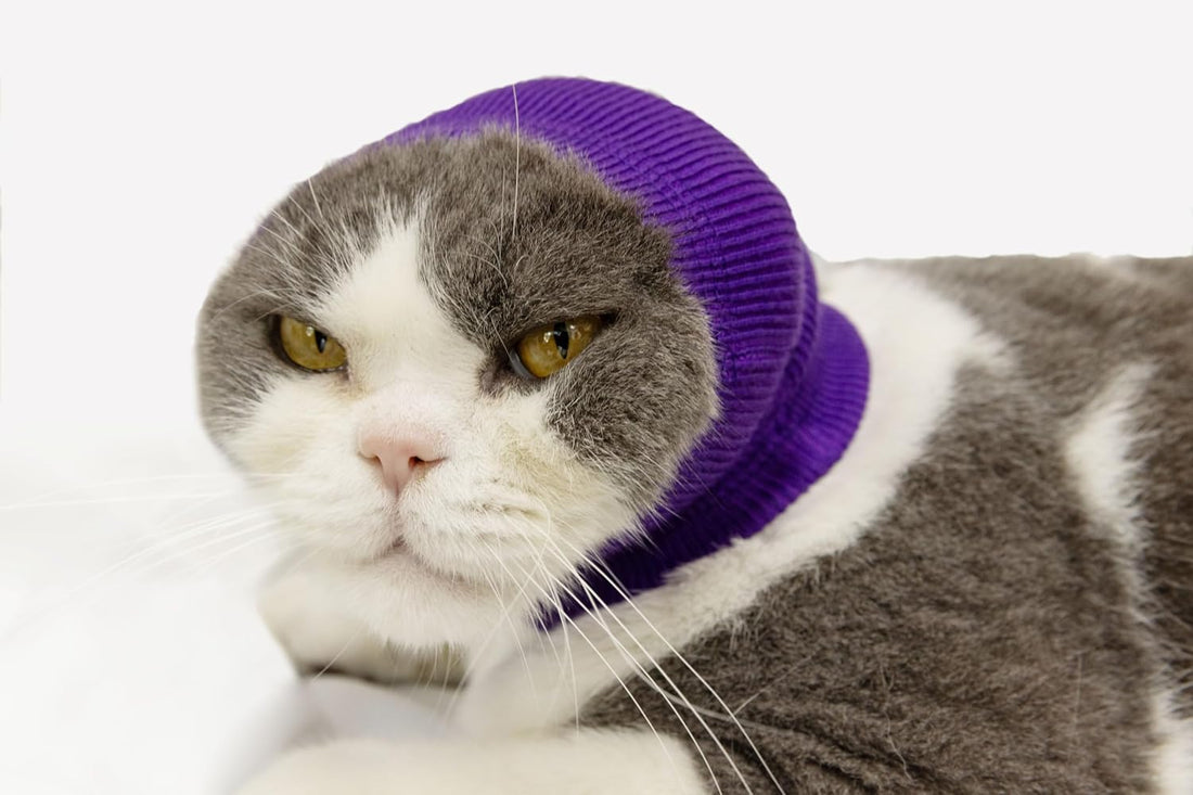2 Pack Cat Ear Cover for Scratching Recovery Grey+Purple