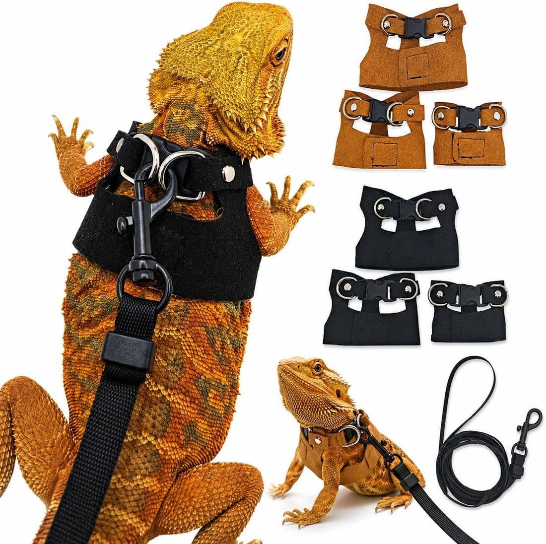3 Pack Bearded Dragon Harness and Leash Set