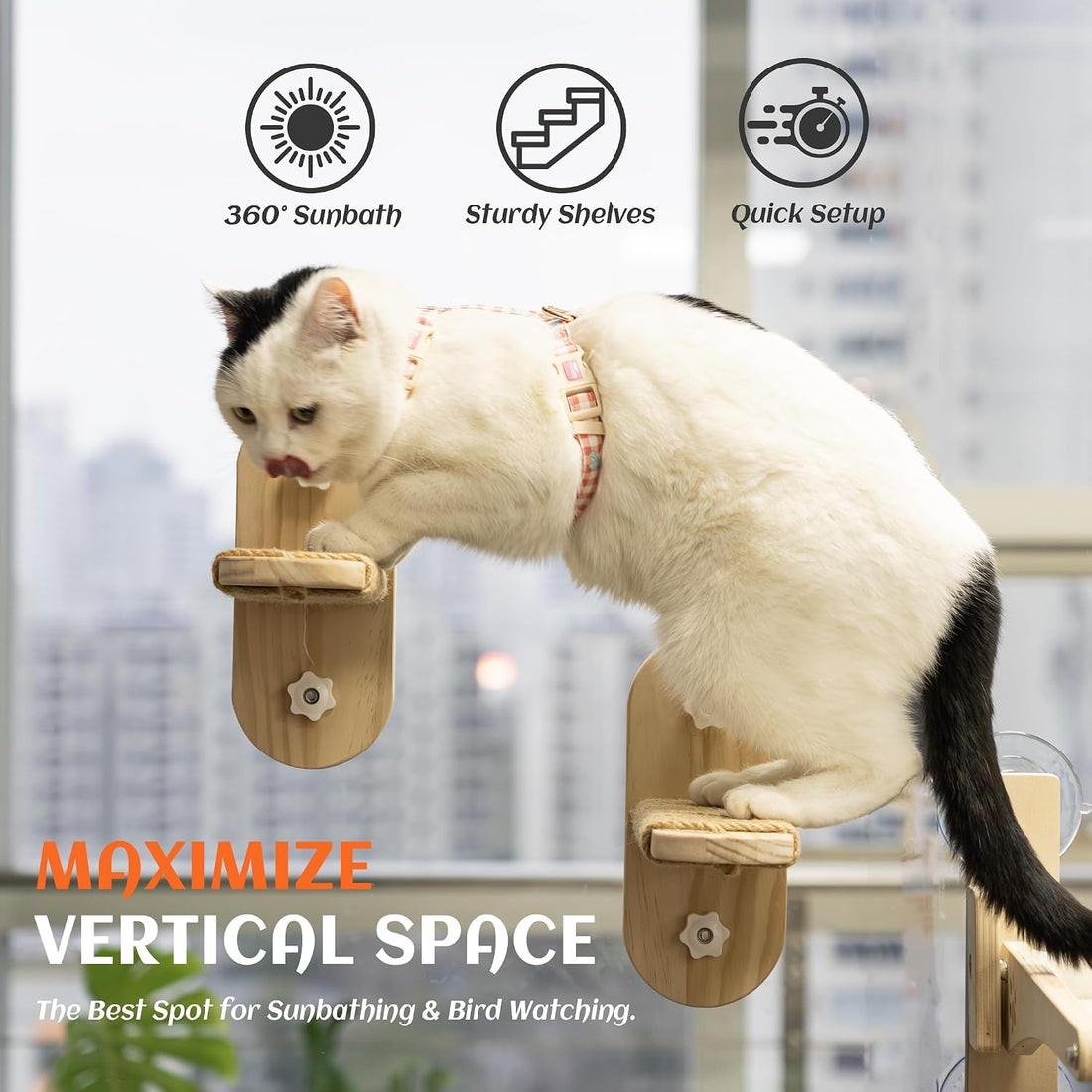 PETKARAY Large Cat Window Shelf