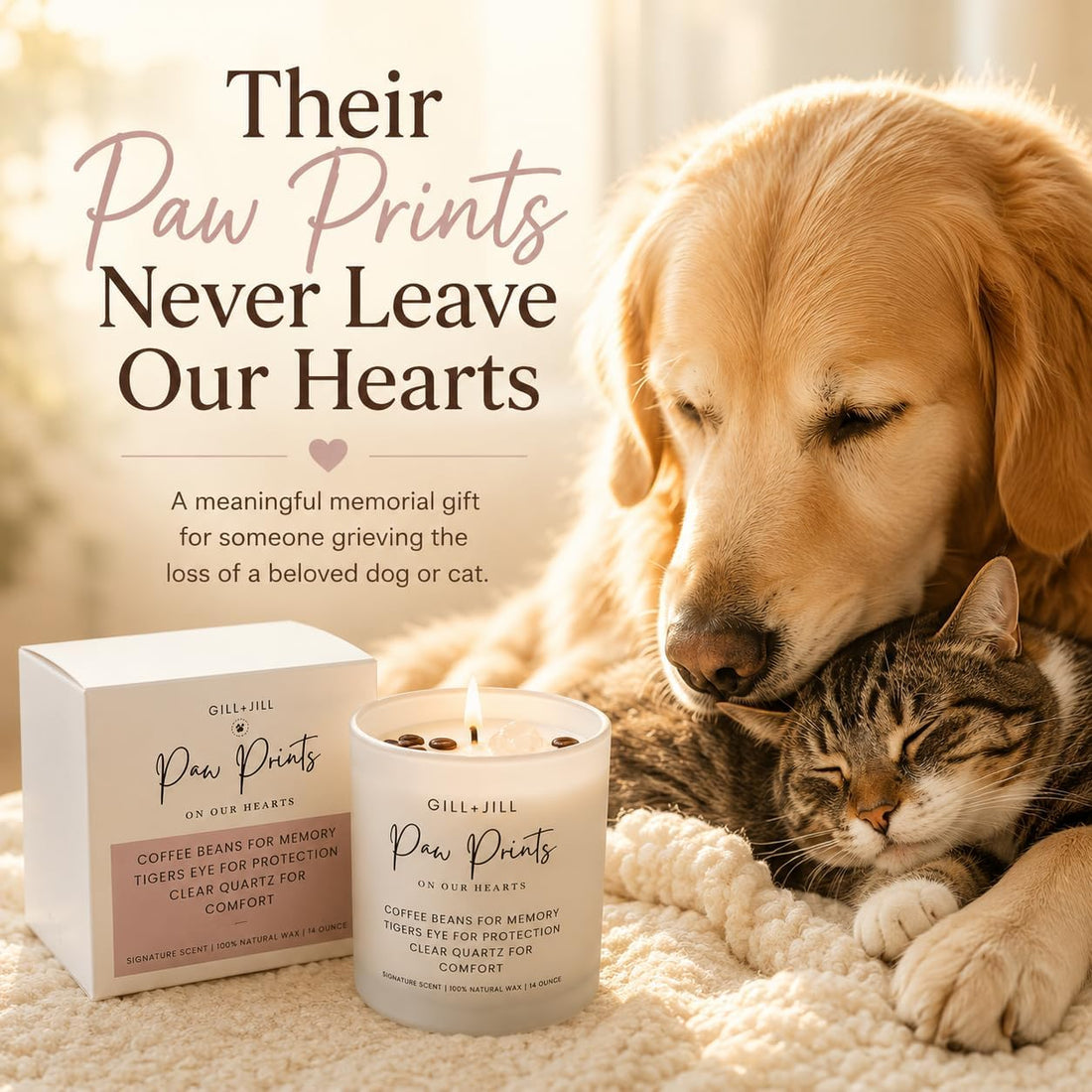 Premium Paw Prints Pet Memorial Candle – Paraffin-Free Soy Wax