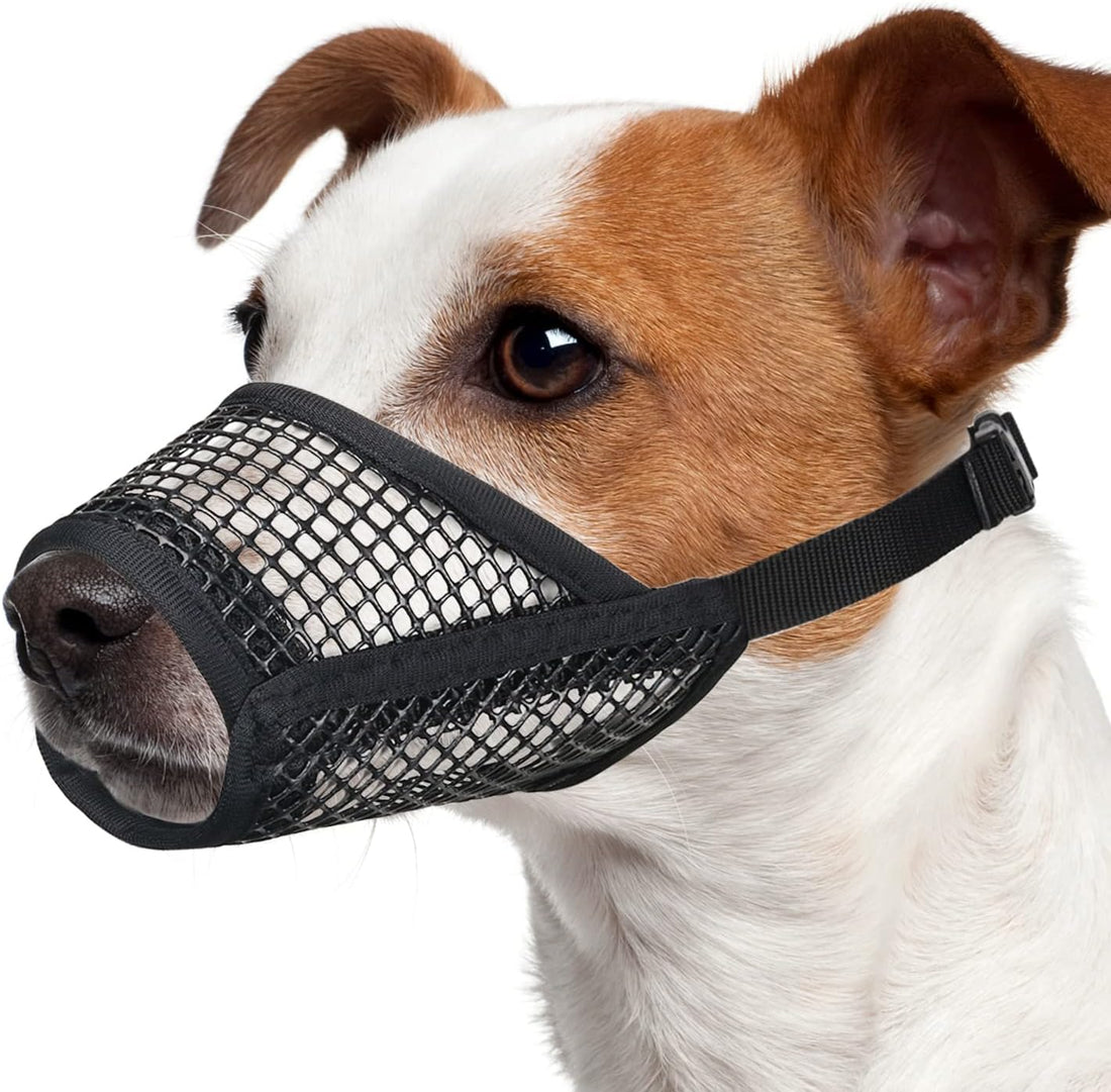 Mayerzon Dog Muzzle, Soft Mesh Muzzles for Small Dogs Biting | Black