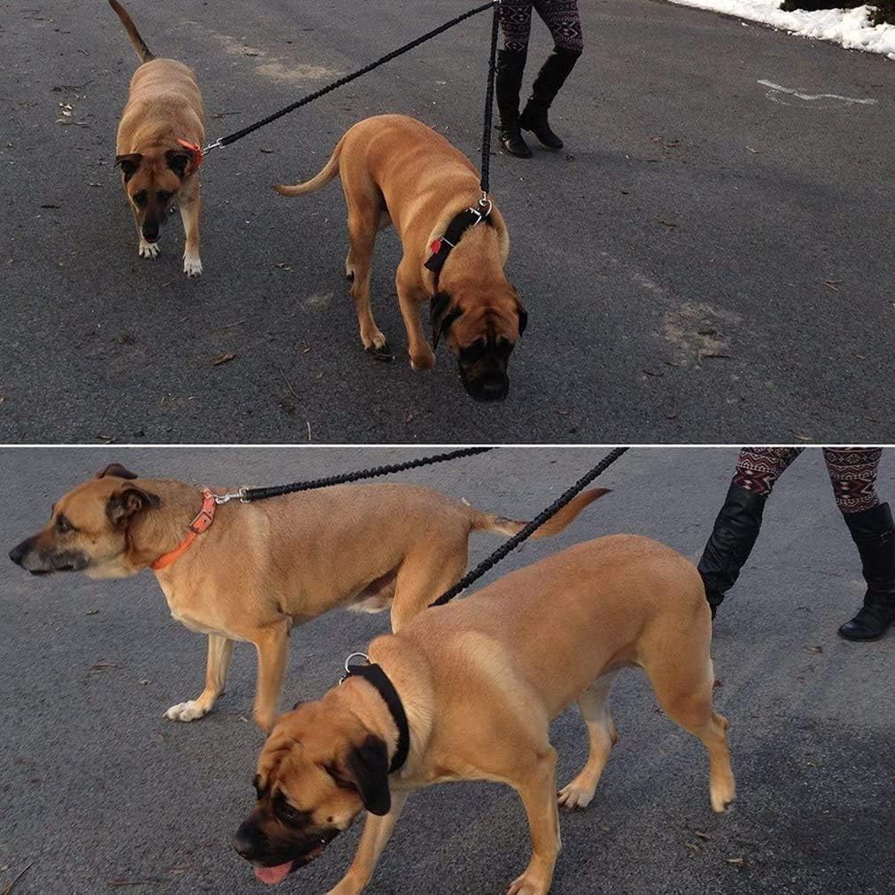 2 Dog Leash No Tangle Pet Double Dog Coupler Walking & Training Leash