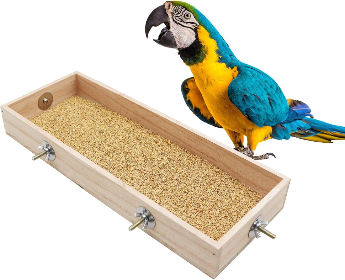 Bird Feeding Cups, Natural Wooden Parrot Perch Stand, Birds Food Dish