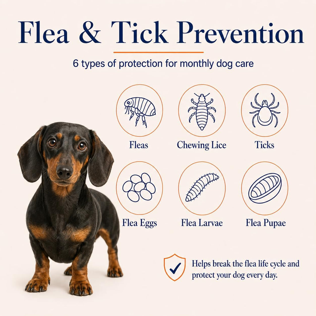 Dog Flea & Tick, Waterproof Topical Preventative for Small Dogs