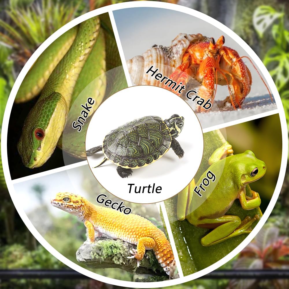 Reptile Bathing Pool with Ramp, Turtle Tortoise Water Bowl & Food Dish
