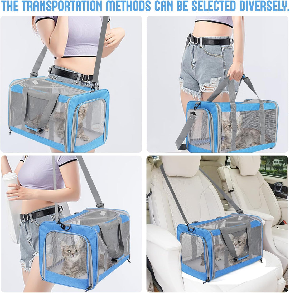 Pet Carrier for Large Cats of 20 Lbs