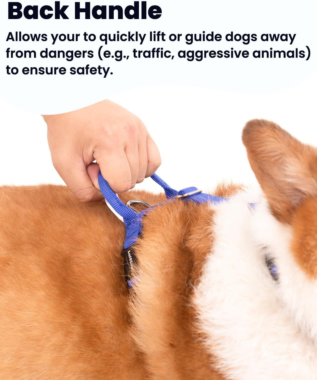 Non Restrictive No Pull Dog Harness, Medium