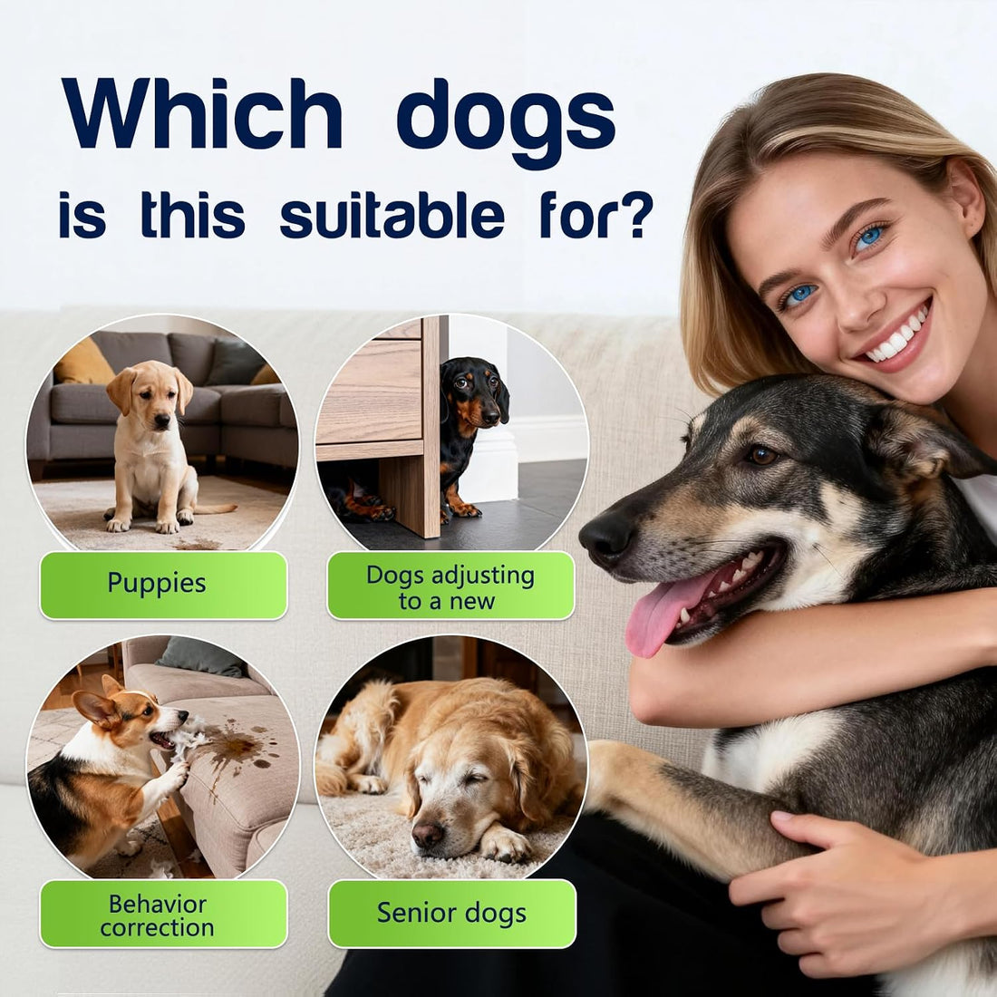 QHZ Potty Training Spray for Dogs and Puppies