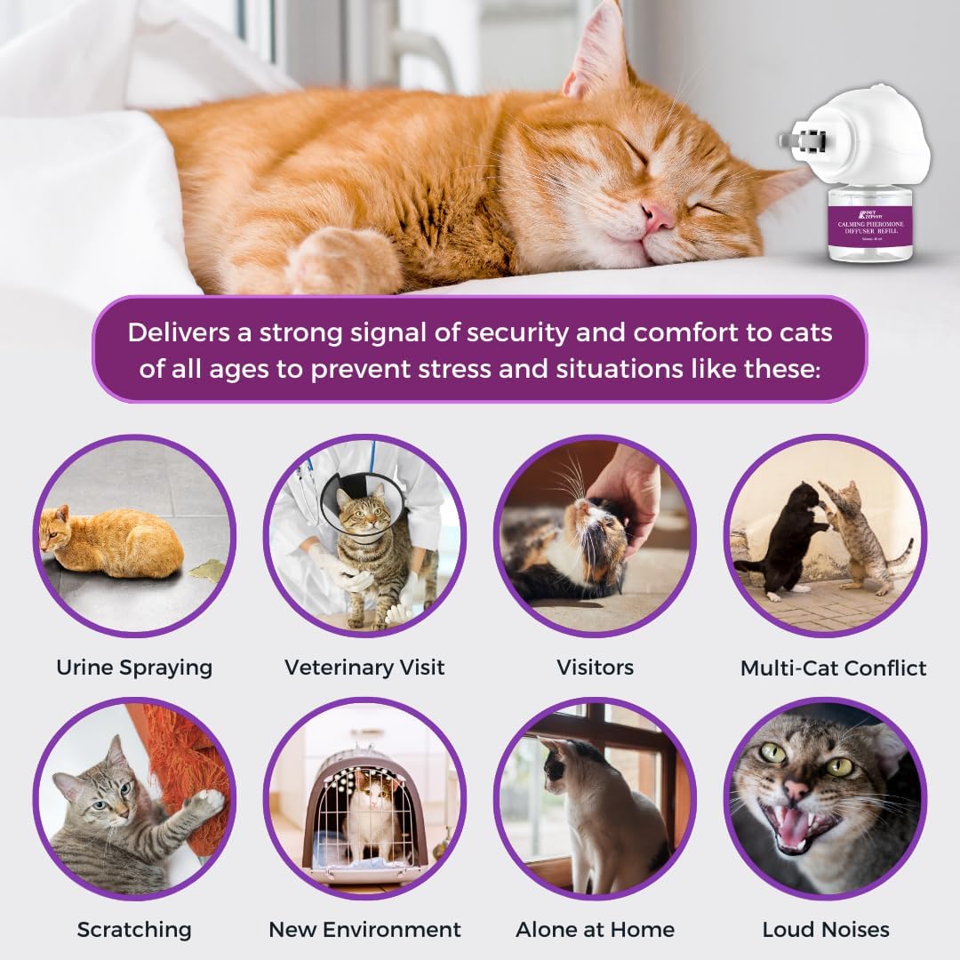 Cat Pheromone Diffuser Refill - 4 Pack Pheromones Refills