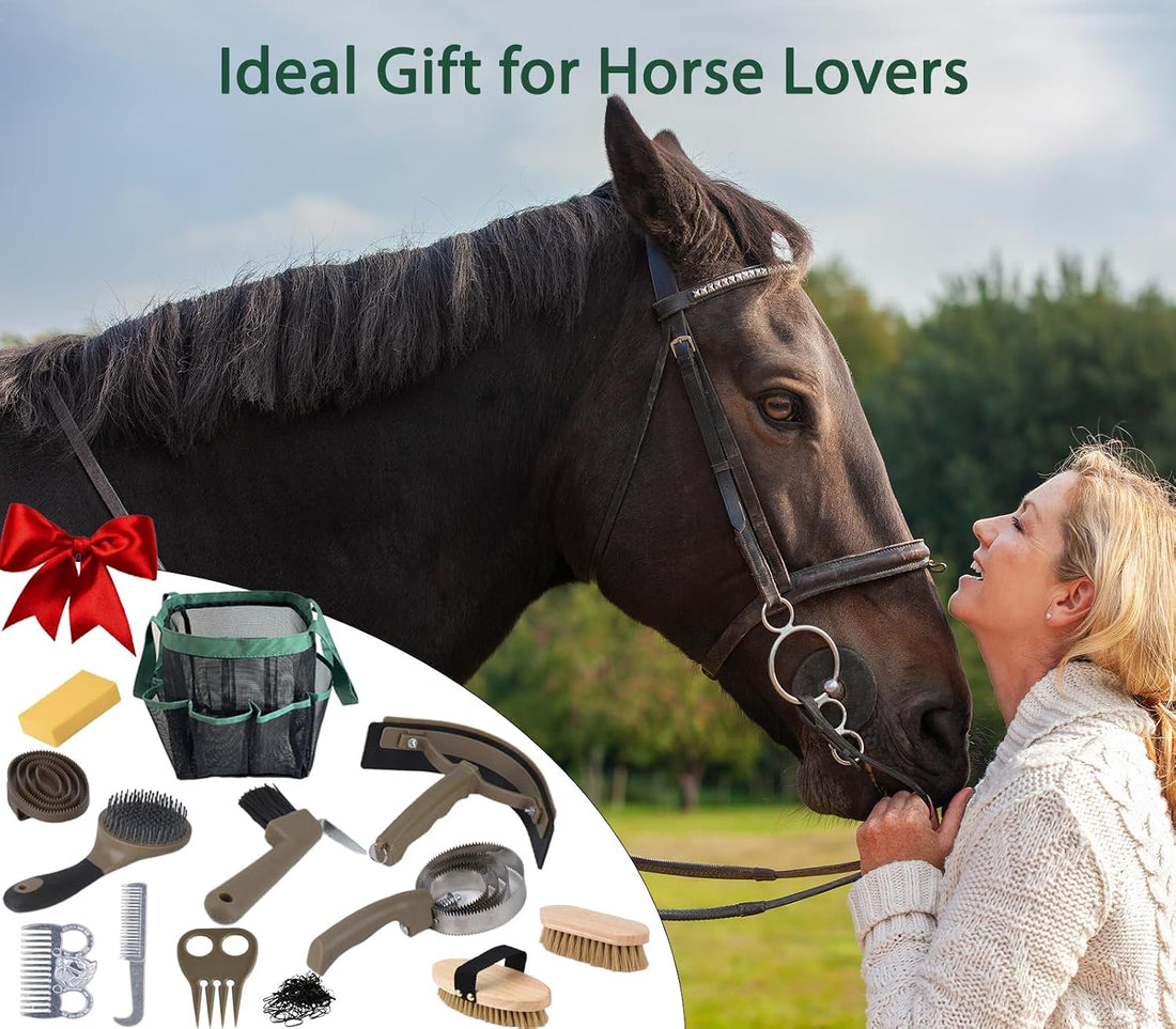 Horse Grooming Kit 13 Piece, Horse Brushes for Grooming Supplies Set